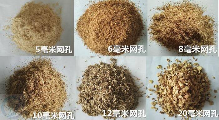 ľ��߅���Ϸ���C